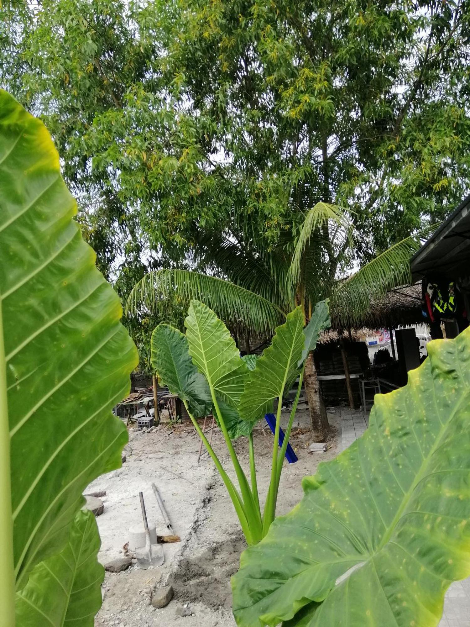 Hostel Katrina'S Dorm Tarlac City Zewnętrze zdjęcie